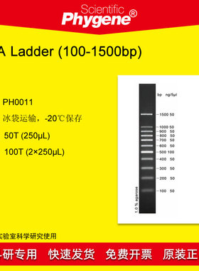 DNA ladder (100-1500bp) DNA Marker 100T [PH0011 PHYGENE]