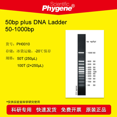 DNALadder科研试剂Phygene