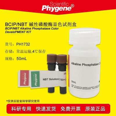 碱性磷酸酶科研实验Phygene