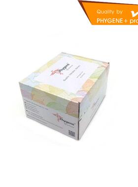 无内毒素质粒中提试剂盒 EndoFree Plasmid Midi Kit Phygene