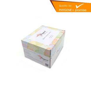 无内毒素质粒中提试剂盒 EndoFree Plasmid Midi Kit Phygene