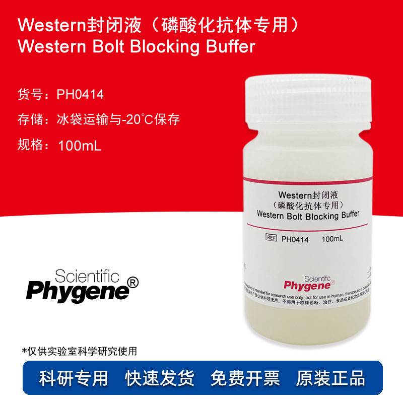 Western封闭液 磷酸化抗体专用 100mL Blocking Buffer PHYGENE