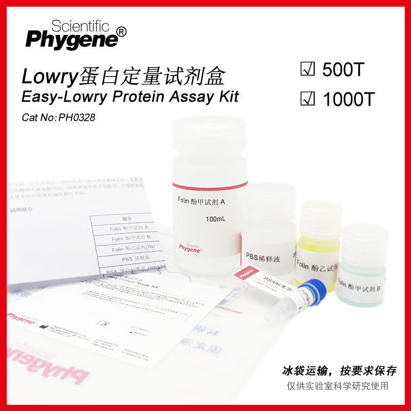 Lowry法蛋白浓度测定试剂盒 蛋白定量 福林酚法 [PH0328 PHYGENE]