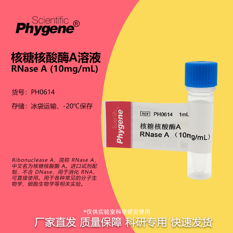 PH0614 核糖核酸酶A 1mL RNase A 10mg/mL DNase free PHYGENE
