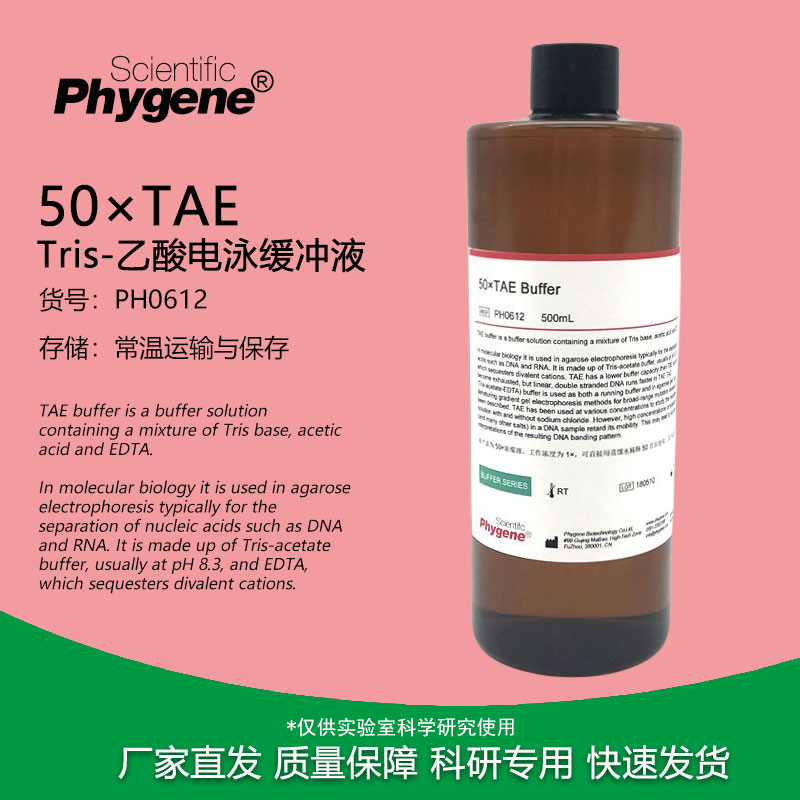 50×TAE缓冲液 Tris电泳缓冲液 TAE Buffer 500mL PH0612 PHYGENE