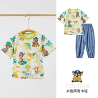 Бежевая малага (242PS0161)+синие брюки (242PK0079) Мужская модель