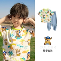 Бежевый T -Fork (242PS0161)+серо -брюки -брюки (232PK0099) Мужские модели