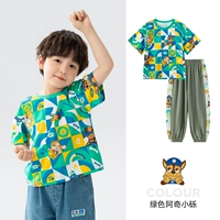 Зеленая t -мала (242PS0162)+военные зеленые брюки (242PK0186) Мужские модели