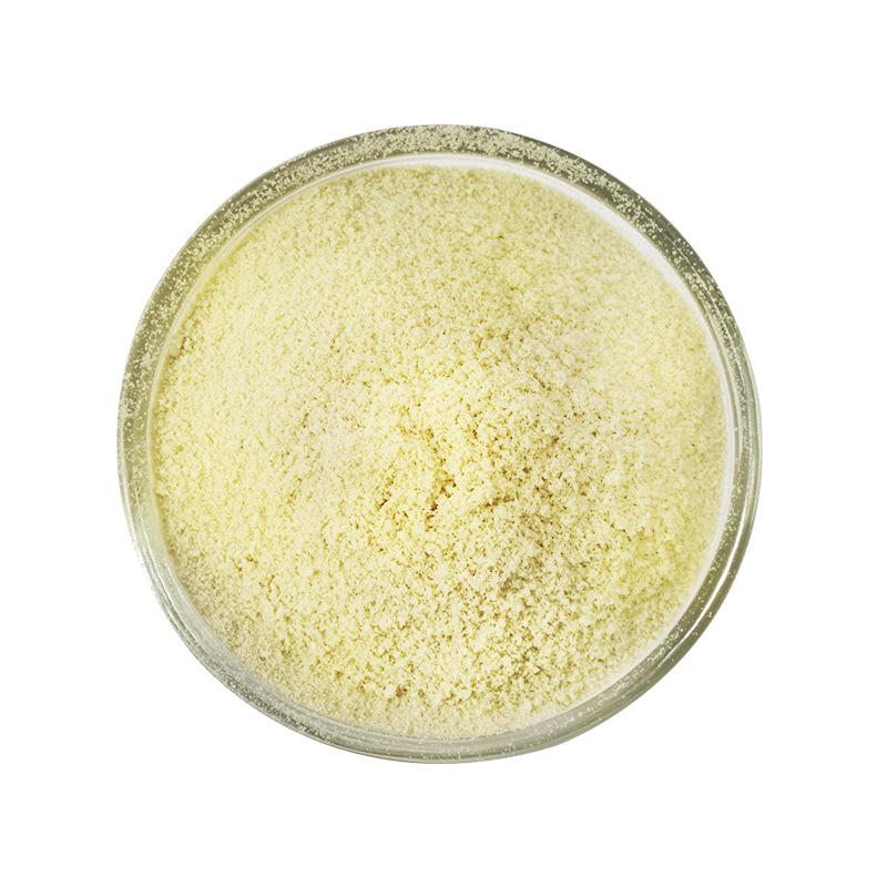 美国芝士粉pasta flour85g 巴马干酪粉烘焙焗饭披萨奶酪粉