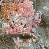 魔鳞花材 花蕾系列｜插花美甲花艺美甲永生花优质定制吸色保鲜