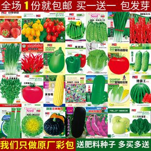 蔬菜种子籽四季大全农家盆栽生菜香葱韭菜番茄香菜草莓西瓜孑辣椒