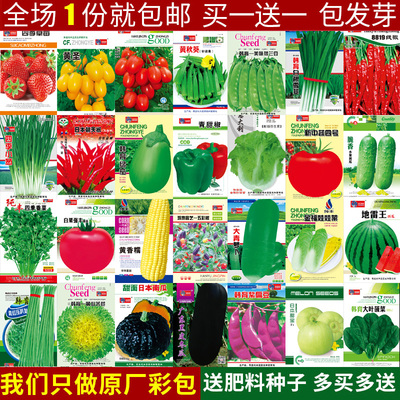 蔬菜种子籽四季大全香葱韭菜西瓜