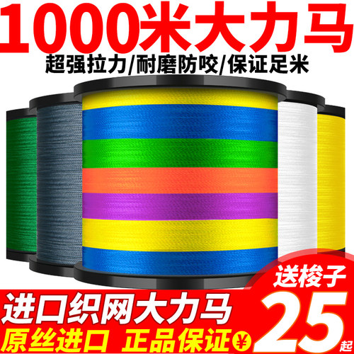 进口大力马鱼线主线1000米织渔网撒网风筝线路亚专用正品pe线子线 - 封面