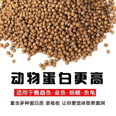 锦鲤饲料金鱼专用家用通用型淡水