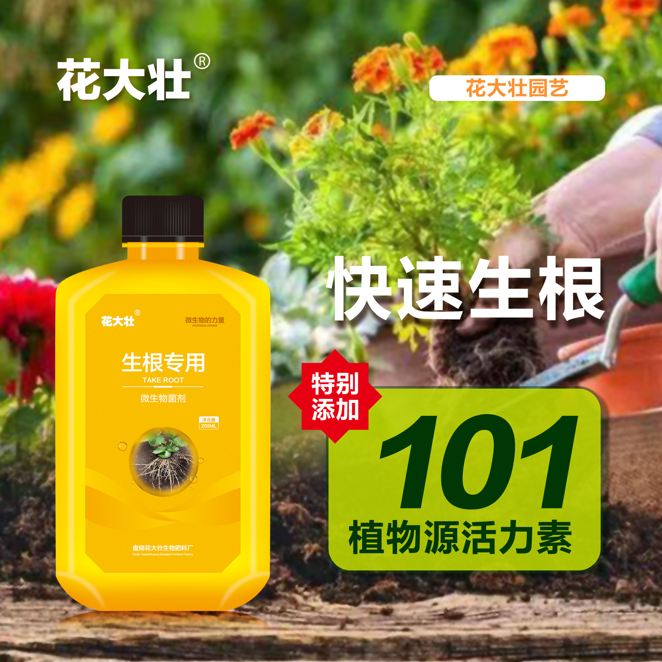 花大壮生根液植物花卉通用杆插移栽缓苗僵苗快速生根微生物菌剂
