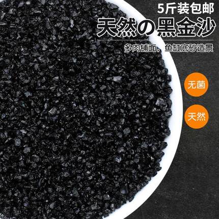 黑金沙园艺多肉铺面水族铺底造景天然黑金砂微景观装饰沙黑石英砂