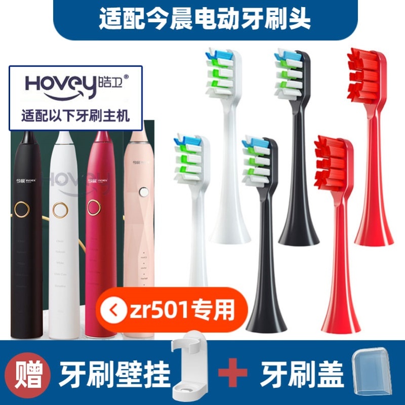 替换刷头今晨电动牙刷头JINCHEN ZR501 u2牙刷刷头成人