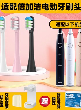 适配倍加洁D369电动牙刷美鹦MY-S100新宝SP-DY002蓝韵TBO520
