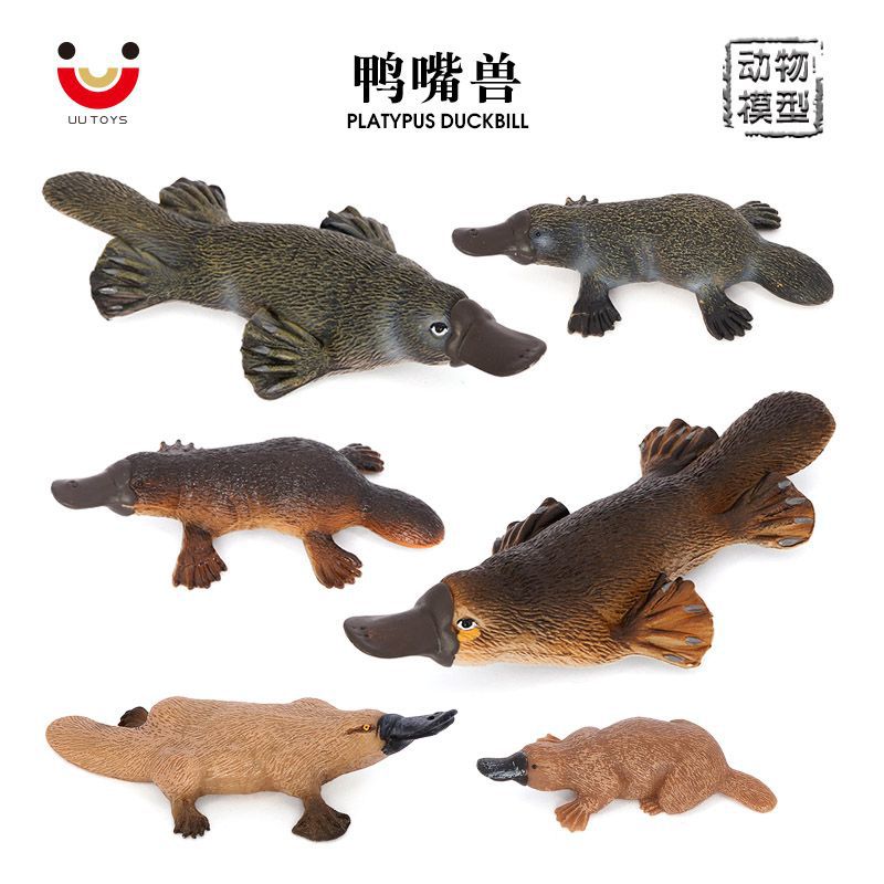 鸭嘴兽模型静态塑胶摆件科教礼物