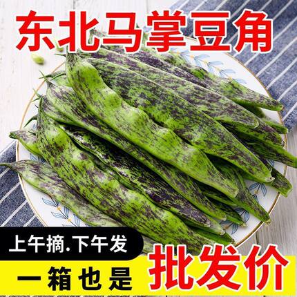 东北油豆角大马掌豆角一点红油豆角吉林黑土地种植