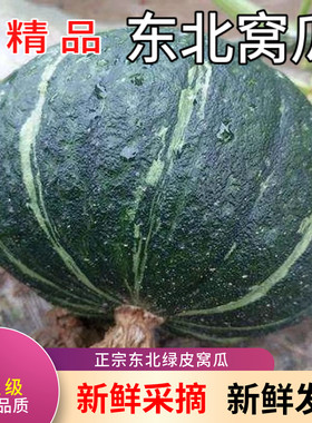 正宗东北绿皮窝瓜贵族南瓜