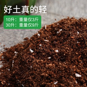 通用型营养土家庭园艺土壤多肉种花种菜绿萝土花卉蔬菜种植土花泥