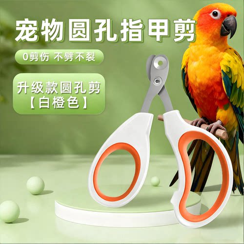 鹦鹉鸟类专用指甲剪剪指甲神器指甲钳指甲刀虎皮牡丹修指甲套装