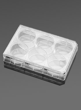 BD实验耗材  6孔细胞培养板 标准TC,平底,带盖  353046  50块/箱