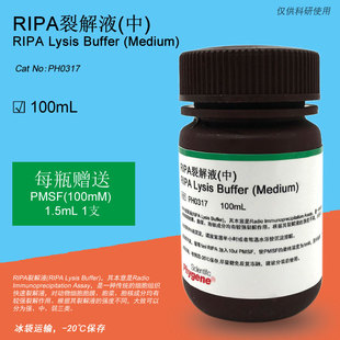 RIPA裂解液 (中) RIPA Lysis Buffer [PH0317 PHYGENE]