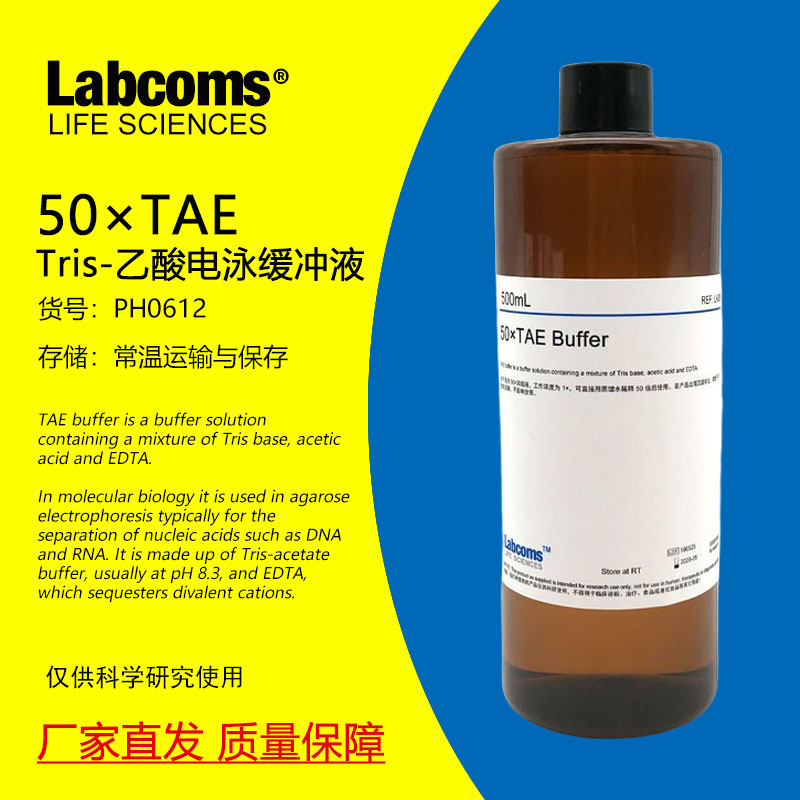Tris-乙酸电泳缓冲液TAE缓冲液