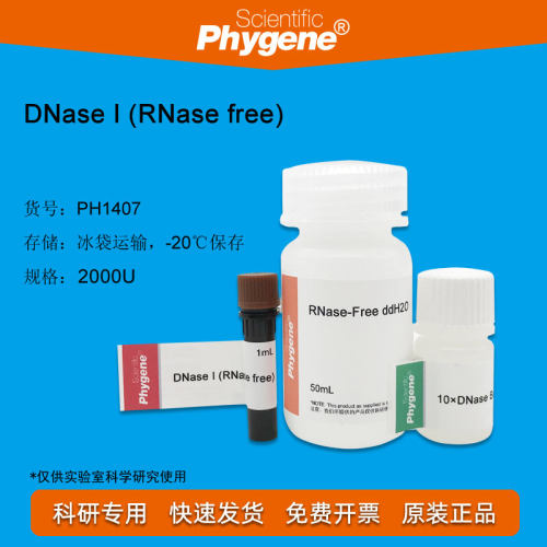 脱氧核糖核酸酶I DNase I 2000U RNA制备转录实验 PH1407 PHYGENE