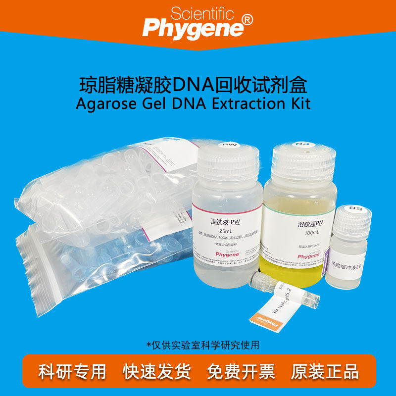 琼脂糖凝胶DNA试剂盒 100T/200T 科研试剂 [PH0208 PHYGENE]