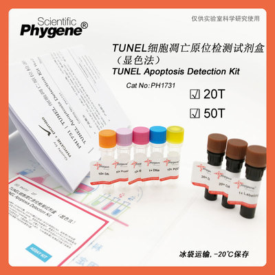 TUNEL细胞凋亡原位检测试剂盒 显色法 细胞检测 PH1731 PHYGENE