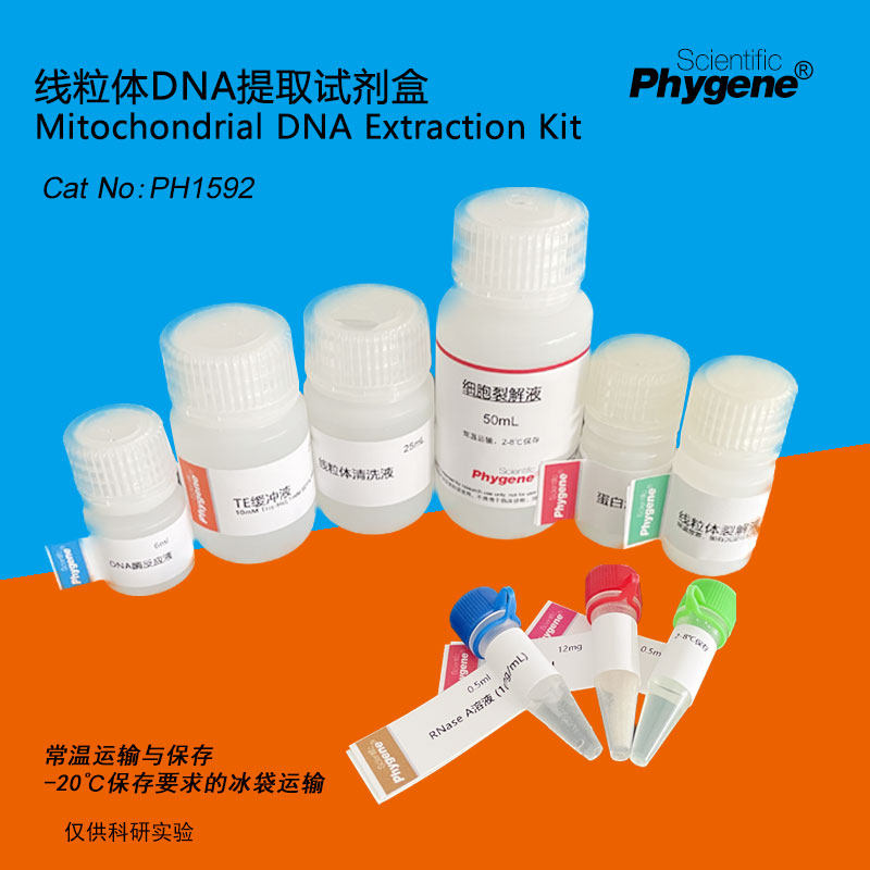 线粒体DNA提取试剂盒 50T/100T 科研实验专用 PH1592 PHYGENE