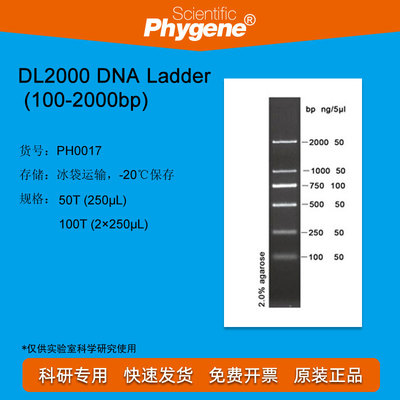 PH0017 DL2000 DNA Ladder (100-2000bp) 100T 2×250ul PHYGENE