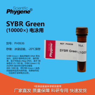 SYBR Green I (10000×) 核酸电泳实验核酸染料 [PH0636 PHYGENE]