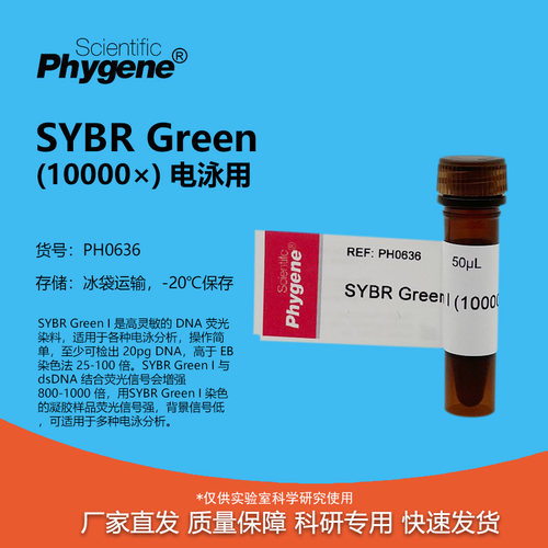 SYBRGreenI核酸电泳