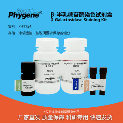 β-半乳糖苷酶染色试剂盒Phygene