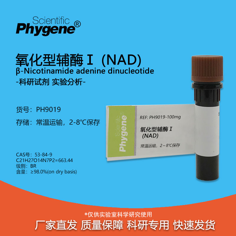 氧化型辅酶 I  NAD试剂 二磷酸吡啶核苷酸 实验试剂 1g CAS: 53-8