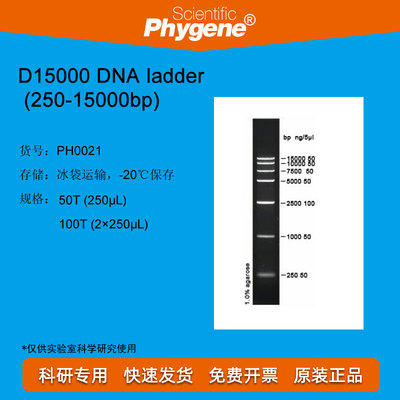 DNA Marker DNA ladder (250-15000bp) 100T PH0021 PHYGENE