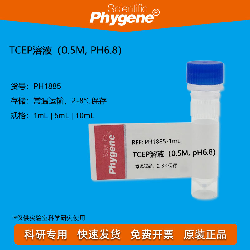 TCEP溶液（0.5M,pH6.8）PHYGENE