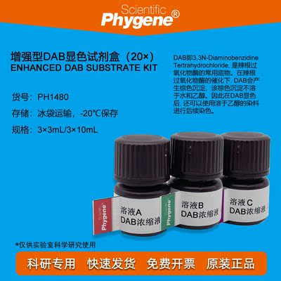 增强型DAB显色试剂盒 (20×) 3×3mL 免疫组化 [PH1480 PHYGENE]