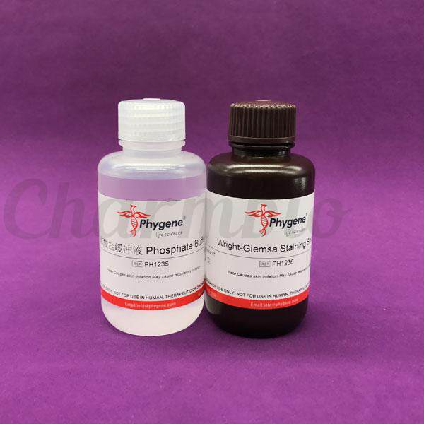 PH1236 瑞氏-姬姆萨复合染色液 瑞氏 吉姆萨染液 可开票 Phygene