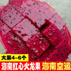 海南三亚金都一号红心红肉火龙果 新鲜水果 5斤装大果 4-6个