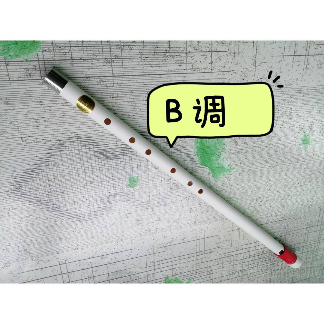 正品中音哨pvc手工精制笛六孔八孔低印第安笛风格竹百奇声乐器
