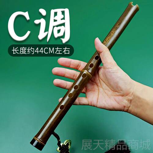 正品便携入短门洞箫基础紫竹萧高级迷你小萧笛古风六C调箫孔乐零