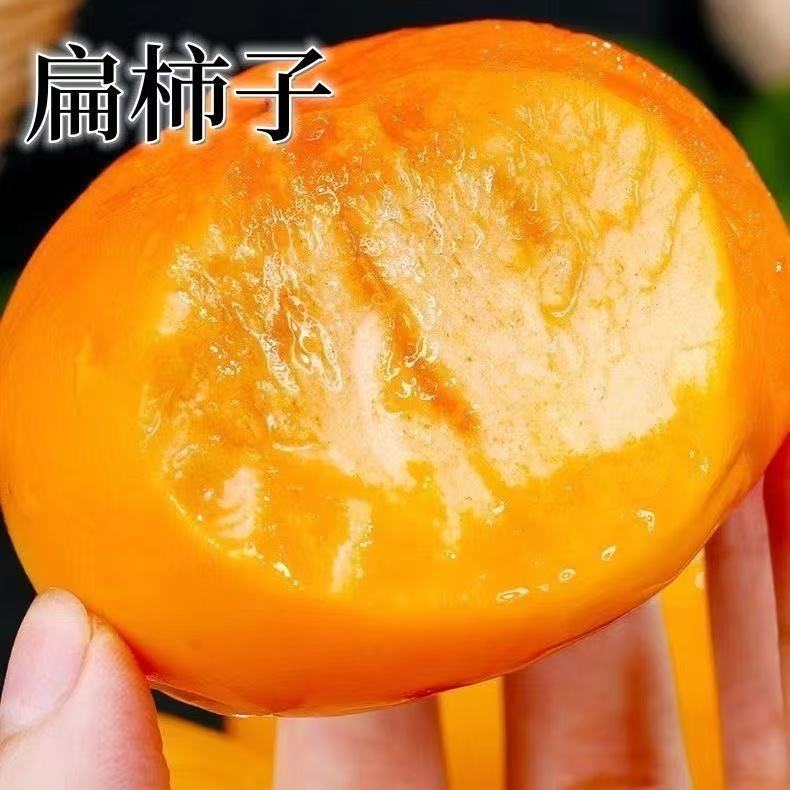 脆甜柿子树苗嫁接新品种特大脆甜水果柿子树苗摘下即食南北方种植