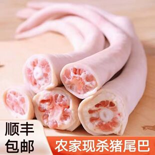 【顺丰】新鲜猪尾巴5斤长尾巴短尾冷冻生猪尾巴去毛整根现杀猪