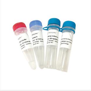 诺唯赞C112-01 02 非连接酶依赖型的单片段一步法克隆试剂盒