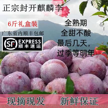 现摘正宗封开麒麟李广东三华红心南华李孕妇酸甜水果6斤礼盒包邮